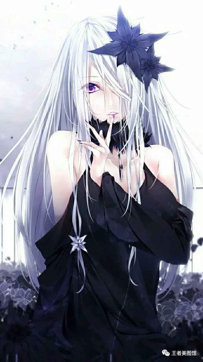 二次元