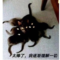 额_21